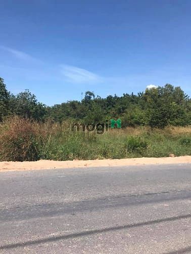 Hình ảnh Cần bán đất mặt tiền đường Bà Thiên - xã Nhuận Đức - Củ Chi