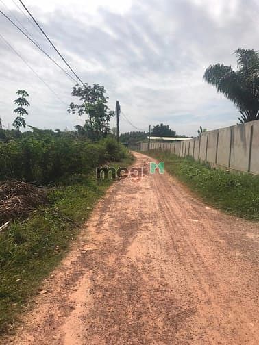 Hình ảnh Cần bán đất làm kho xưởng, phân lô - xã Nhuận Đức - Củ Chi