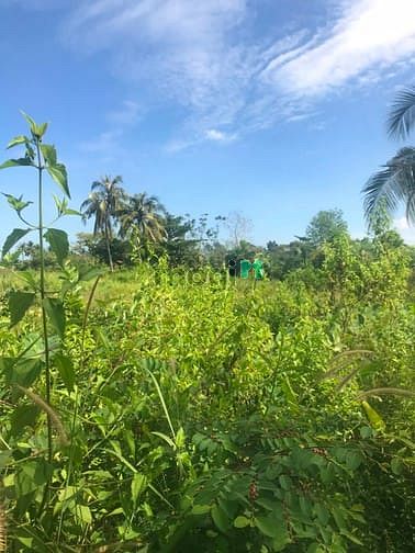 Hình ảnh Cần bán đất làm kho xưởng, phân lô - xã Nhuận Đức - Củ Chi