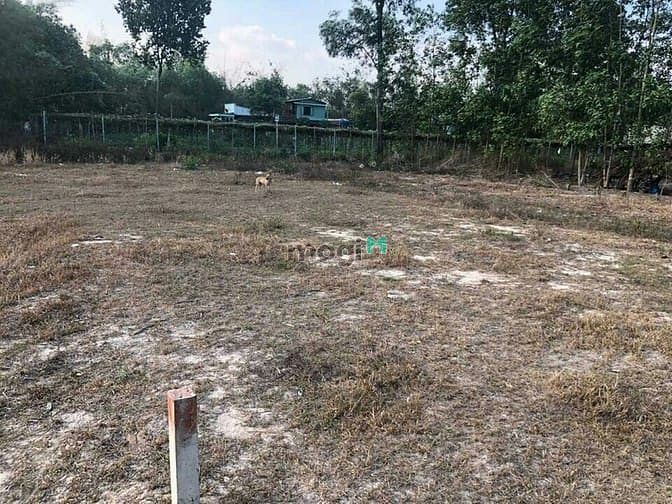 Hình ảnh Chủ cần bán nhanh lô đất thổ vườn 1 xẹc xã Phú Đông, Nhơn trạch, SHR,