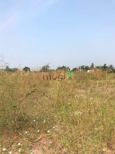 Hình ảnh Cần bán đất xã Bình Mỹ - Củ Chi