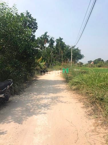 Hình ảnh Cần bán đất xã Bình Mỹ - Củ Chi