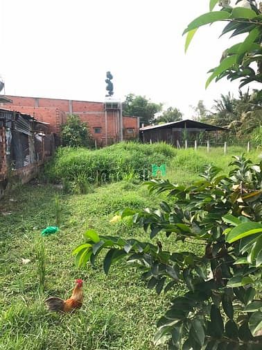 Hình ảnh Cần bán đất xã Trung Lập Thượng - Củ Chi