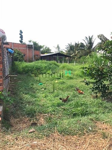 Hình ảnh Cần bán đất xã Trung Lập Thượng - Củ Chi