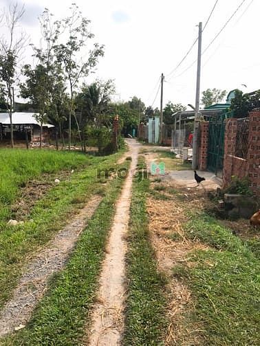 Hình ảnh Cần bán đất xã Trung Lập Thượng - Củ Chi