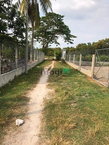 Hình ảnh Cần bán đất xã Trung Lập Thượng - Củ Chi
