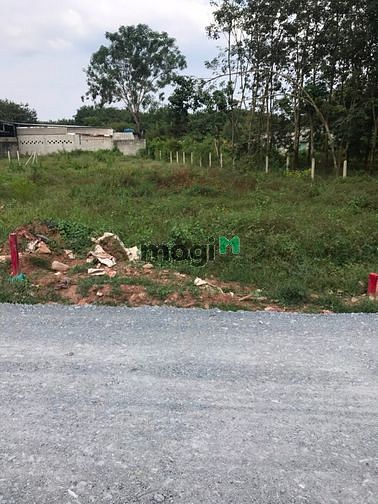 Hình ảnh Cần bán đất mặt tiền đường Bùi Thị Ngọn - xã An Nhơn Tây - Củ Chi