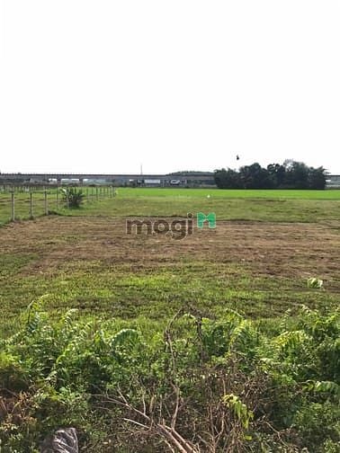 Hình ảnh Cần bán đất mặt tiền đường Tỉnh Lộ 2 - xã Trung Lập Hạ - Củ Chi