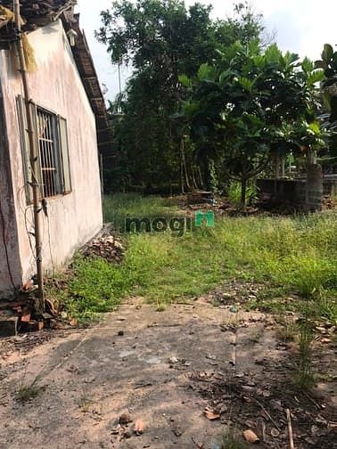 Hình ảnh Cần bán đất làm nhà vườn xã An Nhơn Tây - Củ Chi