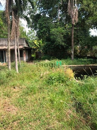 Hình ảnh Cần bán đất 2 mặt tiền đường Tam Tân - xã Tân An Hội - Củ Chi