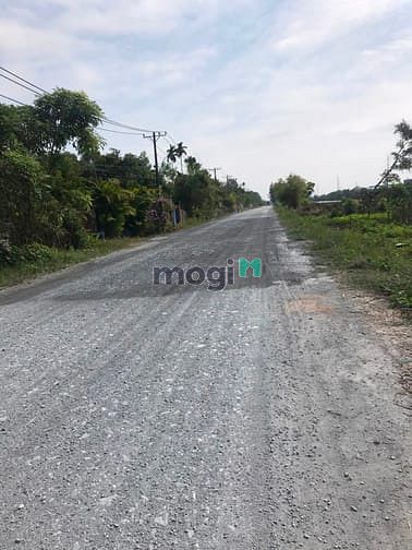 Hình ảnh Cần bán đất 2 mặt tiền đường Tam Tân - xã Tân An Hội - Củ Chi