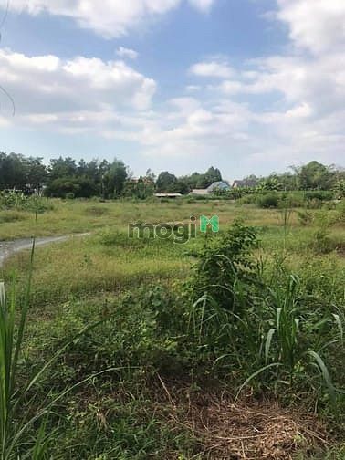 Hình ảnh Cần bán đất lớn xã An Phú - Củ Chi