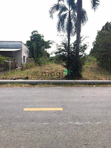 Hình ảnh Cần bán đất mặt tiền đường Bùi Thị Điệt - xã Phạm Văn Cội - Củ Chi