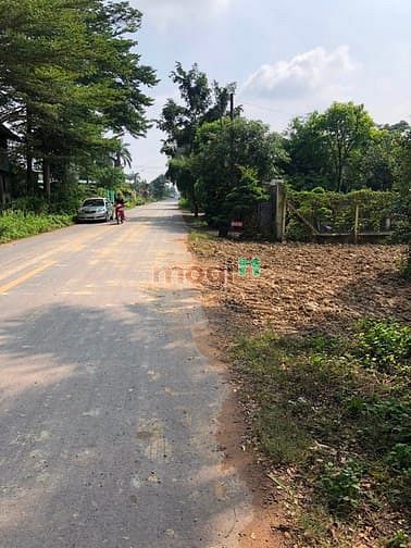 Hình ảnh Cần bán đất mặt tiền đường Bùi Thị Điệt - xã Phạm Văn Cội - Củ Chi