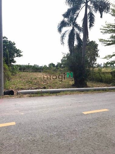 Hình ảnh Cần bán đất mặt tiền đường Bùi Thị Điệt - xã Phạm Văn Cội - Củ Chi