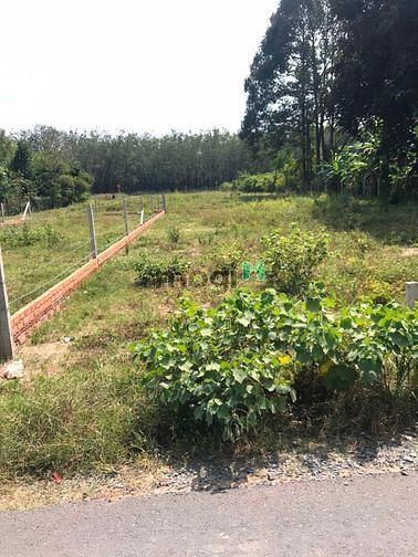 Hình ảnh Cần bán đất mặt tiền đường Bùi Thị Điệt - xã Phạm Văn Cội - Củ Chi