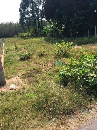 Hình ảnh Cần bán đất mặt tiền đường Bùi Thị Điệt - xã Phạm Văn Cội - Củ Chi
