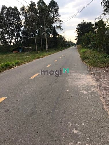 Hình ảnh Cần bán đất mặt tiền đường Bến Súc - xã An Phú - Củ Chi