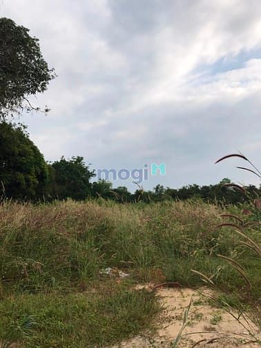 Hình ảnh Cần bán đất mặt tiền đường Bến Súc - xã An Phú - Củ Chi
