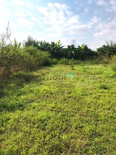 Hình ảnh Cần bán đất mặt tiền đường 512 - xã Nhuận Đức - Củ Chi