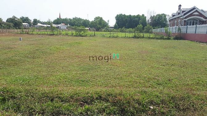 Hình ảnh Bán gấp đất thổ vườn, 2 MT đường ô tô, Nhơn trạch, ĐN, giá rẻ 2,2tr/m2