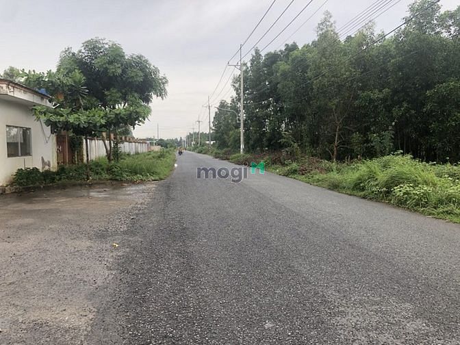 Hình ảnh Bán gấp đất thổ vườn, 2 MT đường ô tô, Nhơn trạch, ĐN, giá rẻ 2,2tr/m2