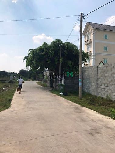 Hình ảnh Cần bán nhà xã Tân Thông Hội - Củ Chi