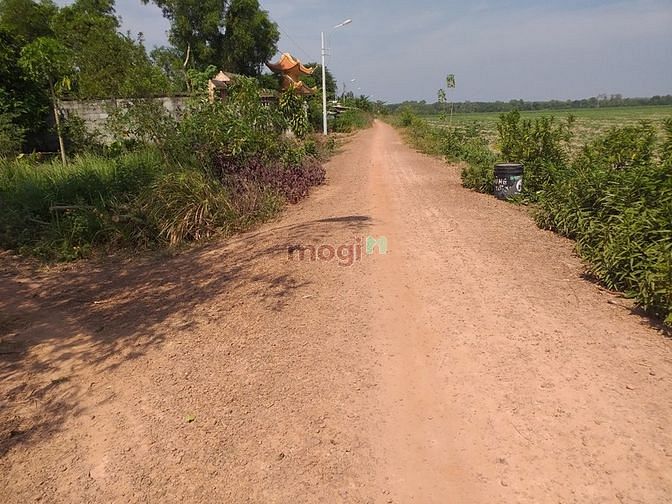 Hình ảnh Cần bán đất xã Phạm Văn Cội - Củ Chi