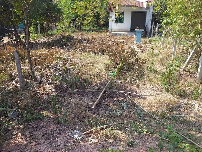 Hình ảnh Cần bán đất xã Phạm Văn Cội - Củ Chi