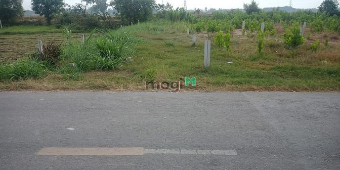 Hình ảnh Cần bán đất mặt tiền đường Tỉnh Lộ 7 - xã Trung Lập Hạ - Củ Chi