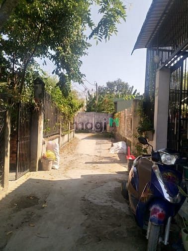 Hình ảnh Cần bán đất gần thị trấn Củ Chi - xã Tân An Hội - Củ Chi