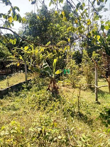 Hình ảnh Cần bán đất khu dân cư xã Tân An Hội - Củ Chi