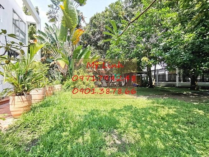 Hình ảnh B.thư Thảo Điền 4 sân vườn hồ bơi 4 - 65tr/th - 4