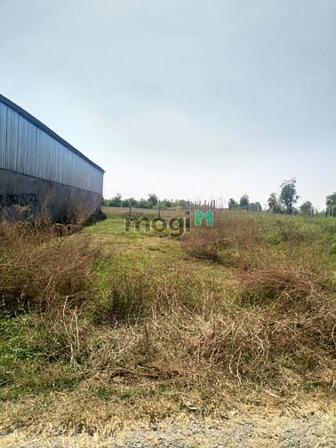 Hình ảnh Cần bán đất xã Tân An Hội - Củ Chi