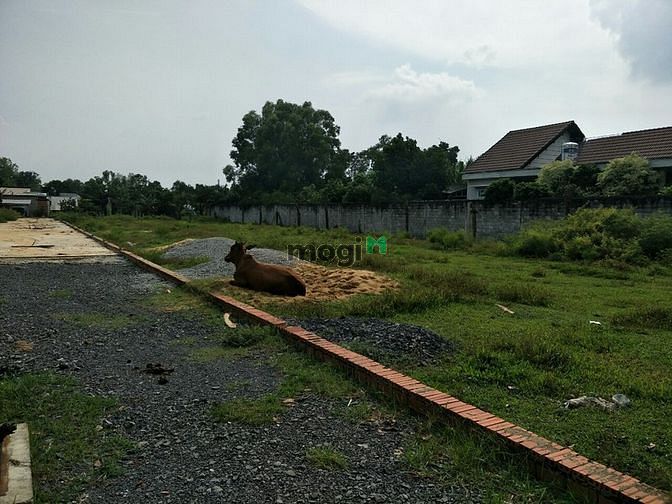 Hình ảnh Cần bán đất xã Tân An Hội - Củ Chi