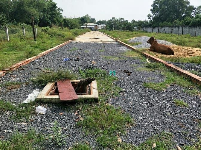 Hình ảnh Cần bán đất xã Tân An Hội - Củ Chi