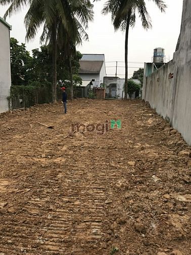 Hình ảnh Cần bán đất mặt tiền đường số 11 - xã Tân