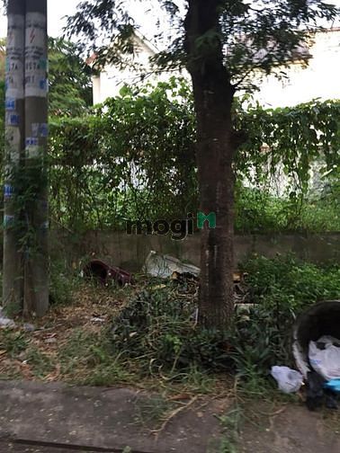 Hình ảnh Bán nhà MT Vành Đai Trong, P. Bình Trị Đông B, 4 x 25m, cấp 4, 13,5 tỷ