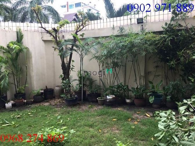 Hình ảnh cho thuê nhà nguyên căn 10pn10wc