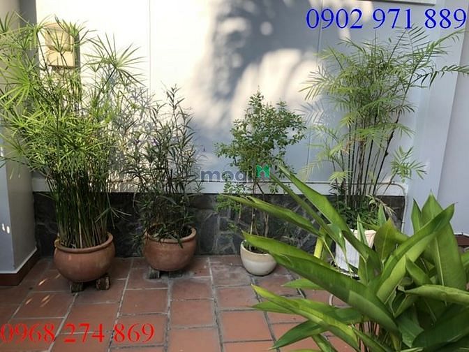 Hình ảnh Cho thuê nhà nguyên căn NTĐ 120M2