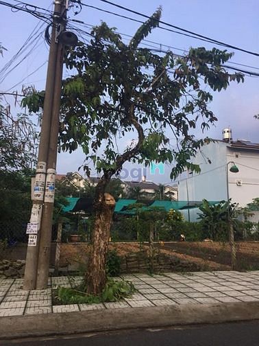 Hình ảnh Bán đất MT đường Số 33, Phường 10, Quận 6, 5 x 21m, 8.5 tỷ.
