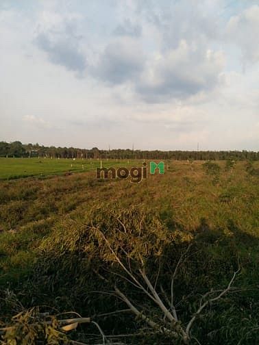 Hình ảnh Cần bán đất xã Thái Mỹ - Củ Chi