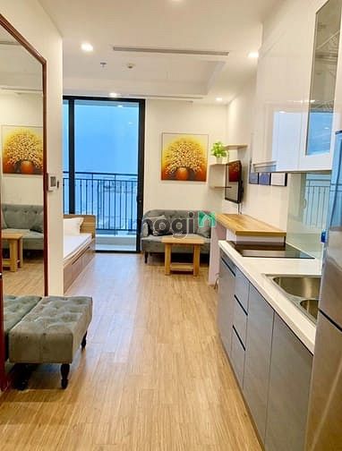 Hình ảnh Chung cư mini cho thuê cao cấp ngay trung tấm quận Gò Vấp