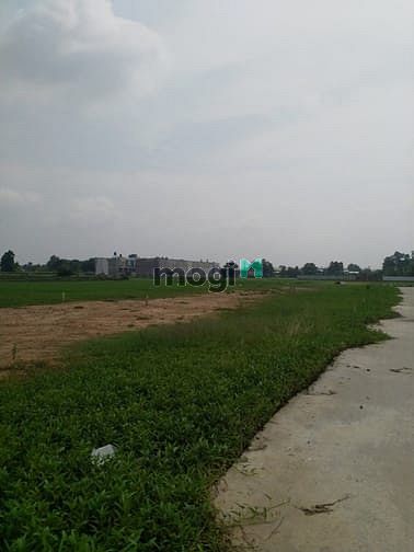 Hình ảnh Cần bán đất đường xe hơi xã Bình Mỹ - Củ Chi