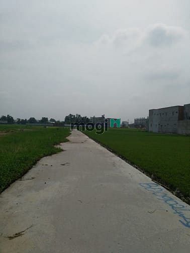 Hình ảnh Cần bán đất đường xe hơi xã Bình Mỹ - Củ Chi