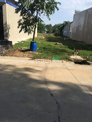 Hình ảnh bans gấp 300m2 đất mặt tiền đường 16m liền kề KCN