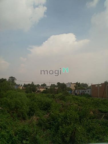 Hình ảnh Cần bán đất xã Tân An Hội - Củ Chi
