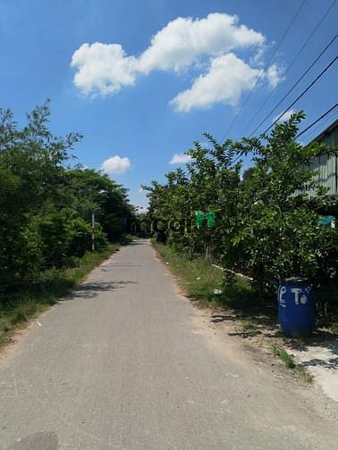 Hình ảnh Cần bán đất mặt tiền đường nhựa - xã Trung Lập Hạ - Củ Chi