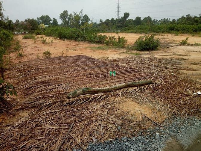 Hình ảnh Bán gấp đất Phú Hữu, Nhơn Trạch, gần phà Cát Lái, giá cực rẻ 1,38 tỷ