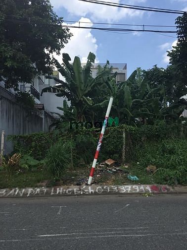 Hình ảnh Bán đất 6,5 tỷ MT dương tự quán,5x18m
